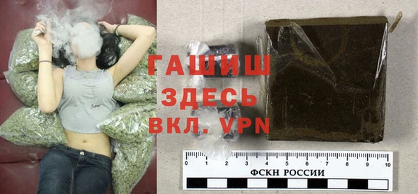 гидра Алексеевка