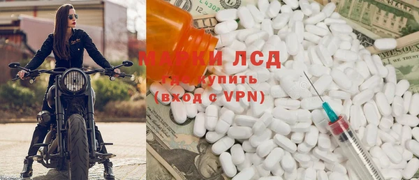 индика Алзамай