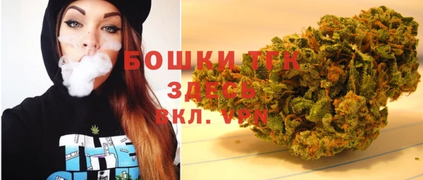 индика Алзамай