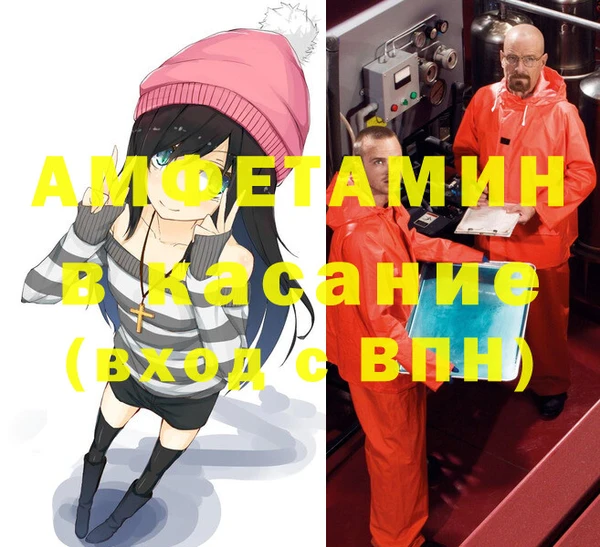 индика Алзамай