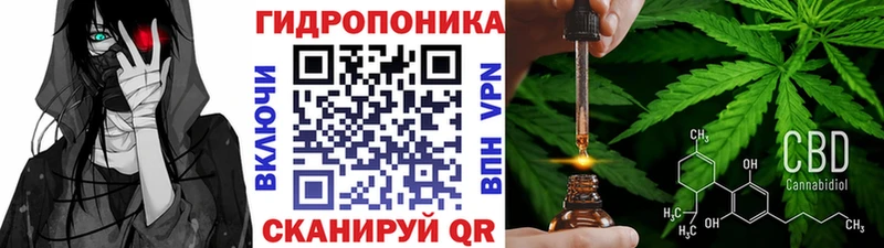 Бошки Шишки ГИДРОПОН Снежногорск